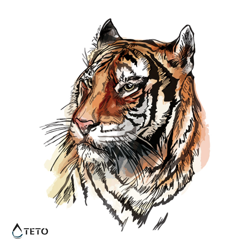 Tigre dibujado - TETO - Tatuajes Temporales