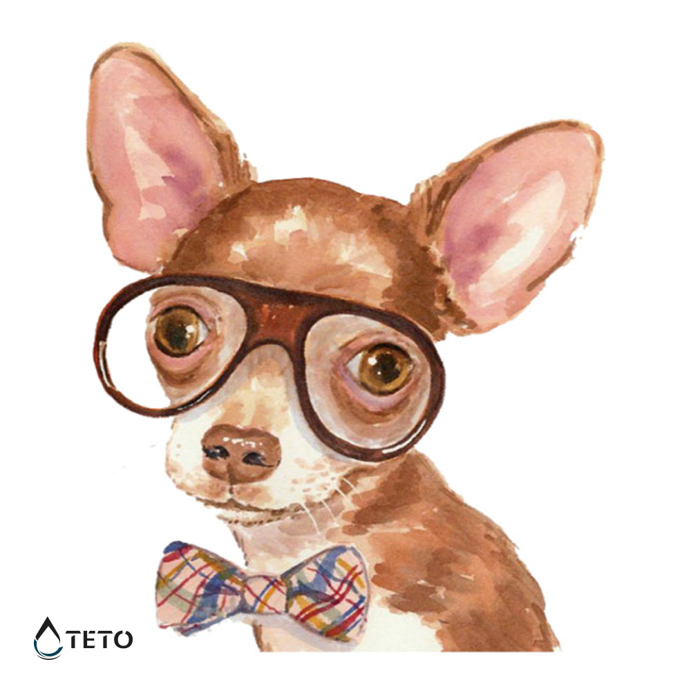 Chihuahua - TETO - Tatuajes Temporales