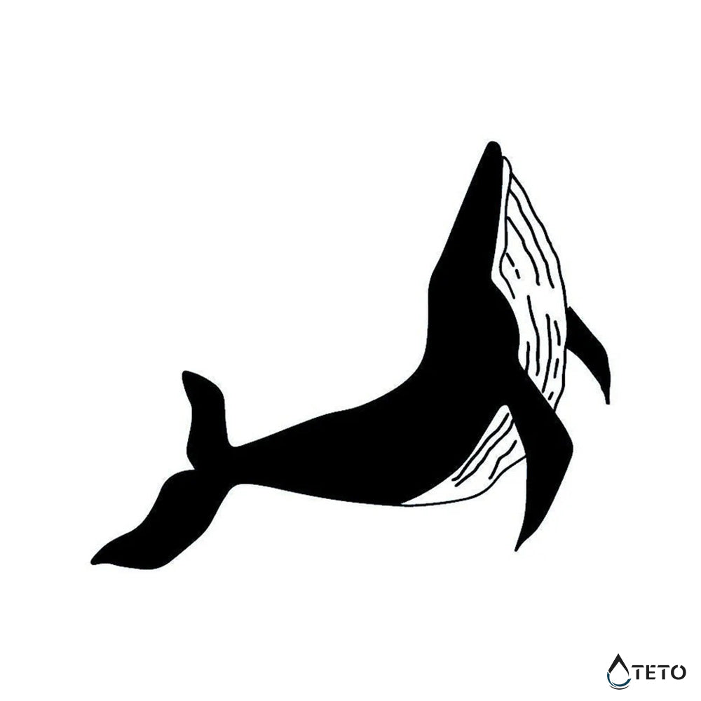 Ballena – Semipermanente