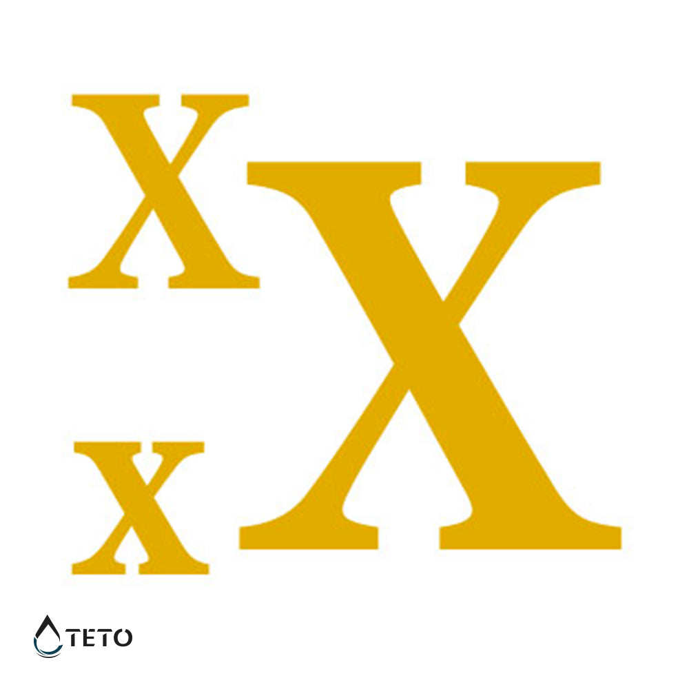 Letra X - set - Tatuajes Temporales TETO