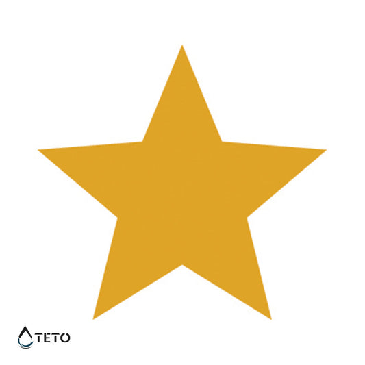Estrella - Tatuajes Temporales TETO