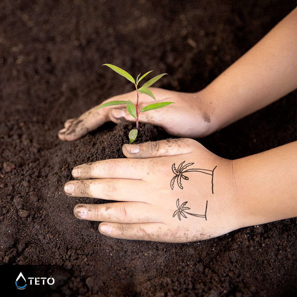 Palmas - set - TETO - Tatuajes Temporales