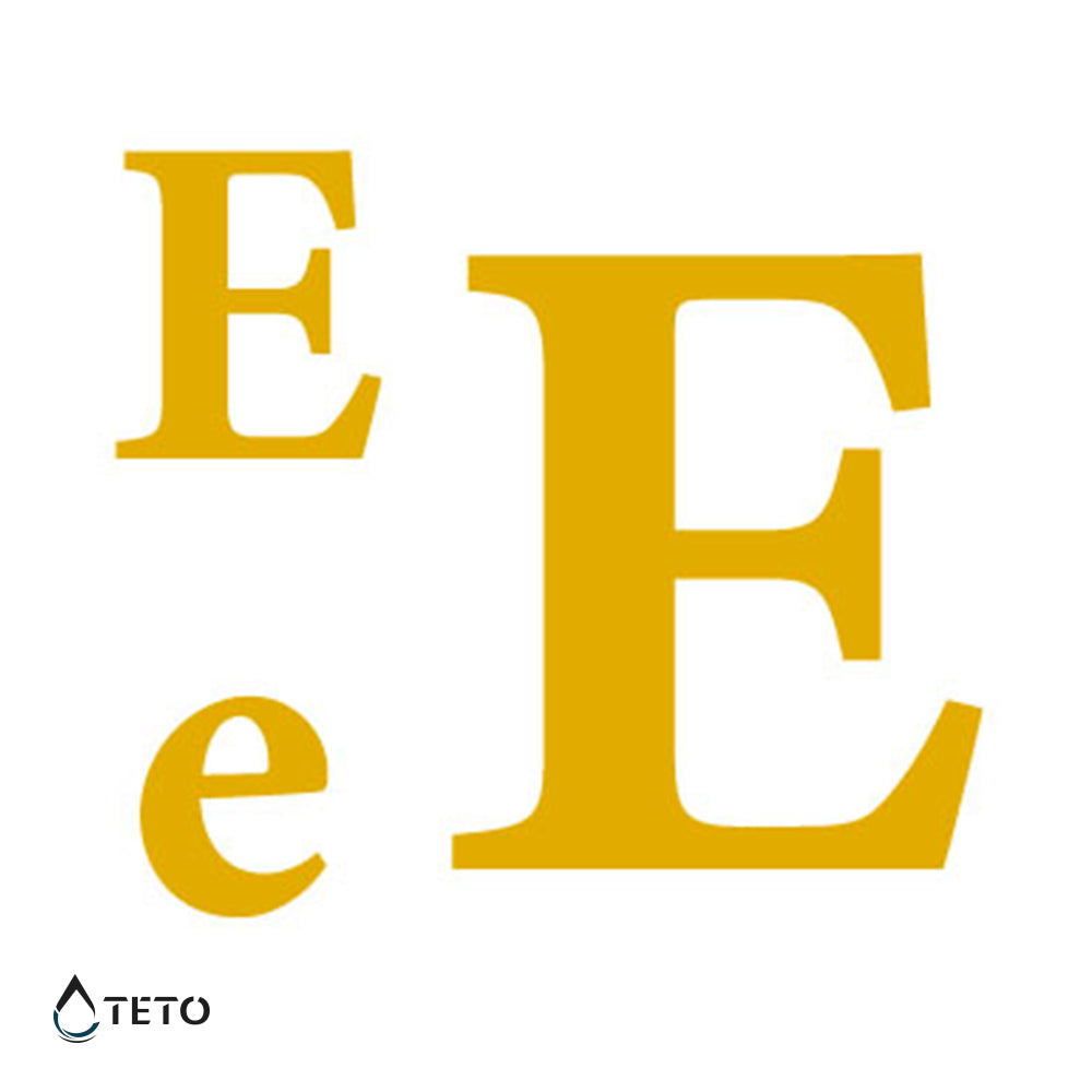 Letra E - set - Tatuajes Temporales TETO