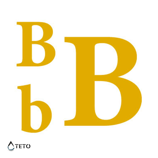 Letra B - set - Tatuajes Temporales TETO