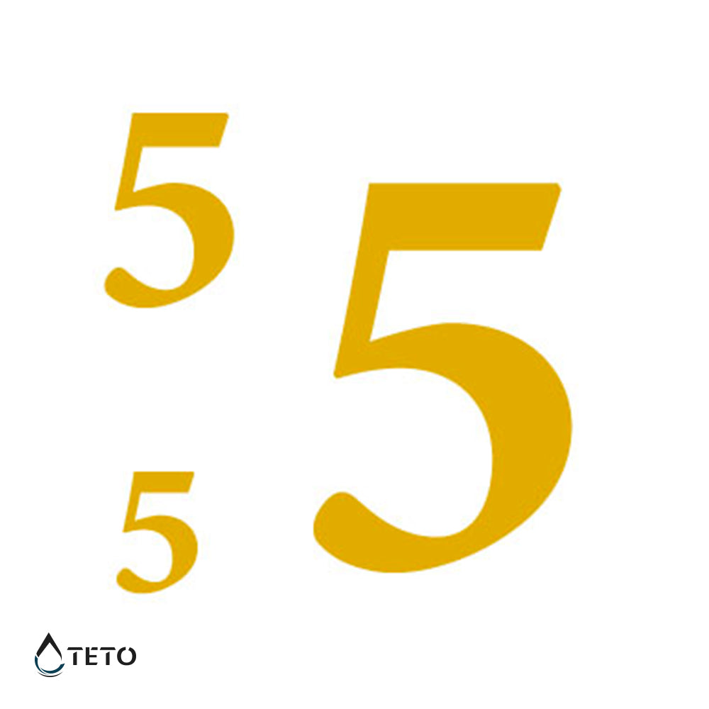 Número 5 - set - Tatuajes Temporales TETO