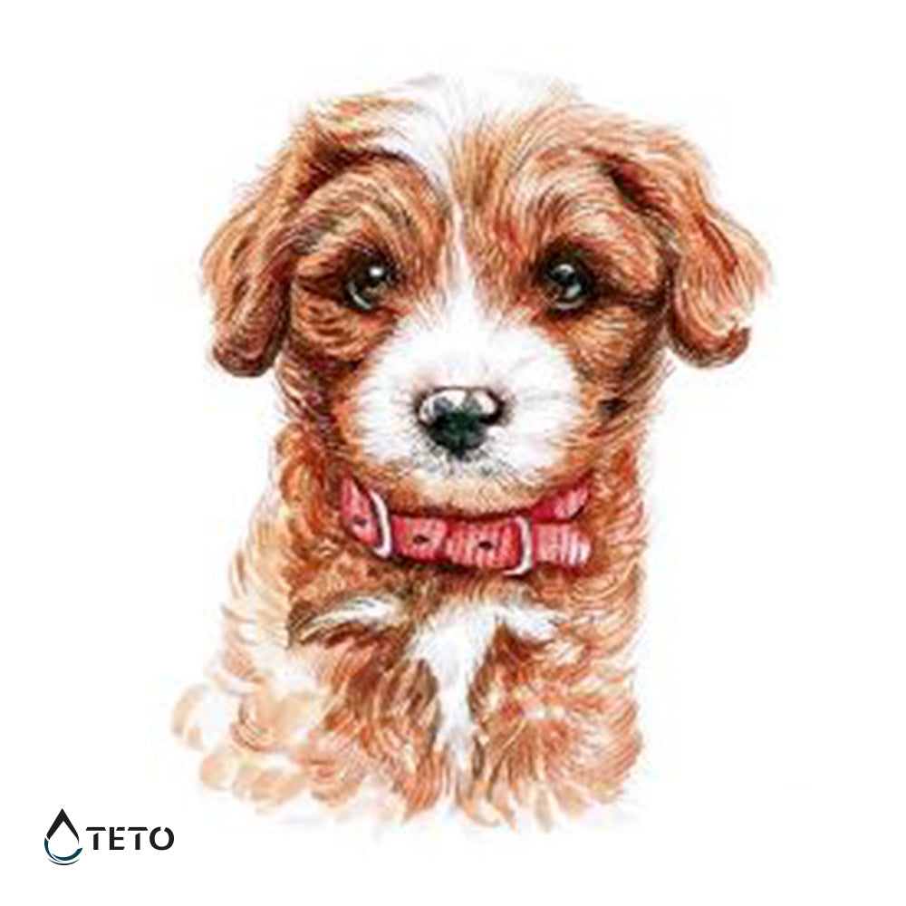 Perro adorable - TETO - Tatuajes Temporales