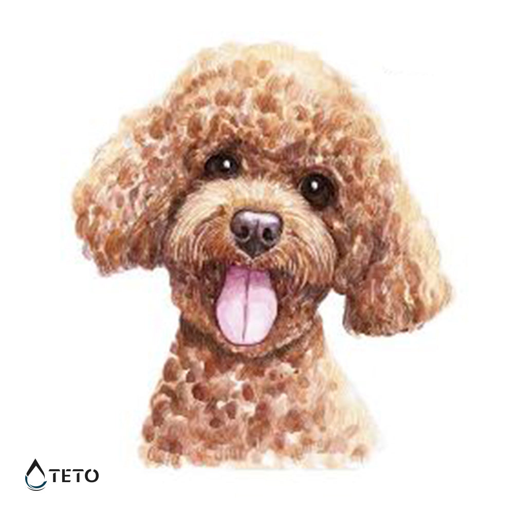Poodle - TETO - Tatuajes Temporales