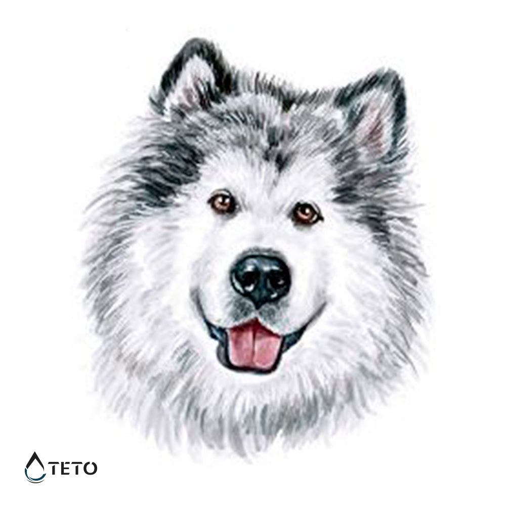Perro Husky Siberiano - TETO - Tatuajes Temporales
