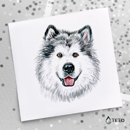 Perro Husky Siberiano - TETO - Tatuajes Temporales
