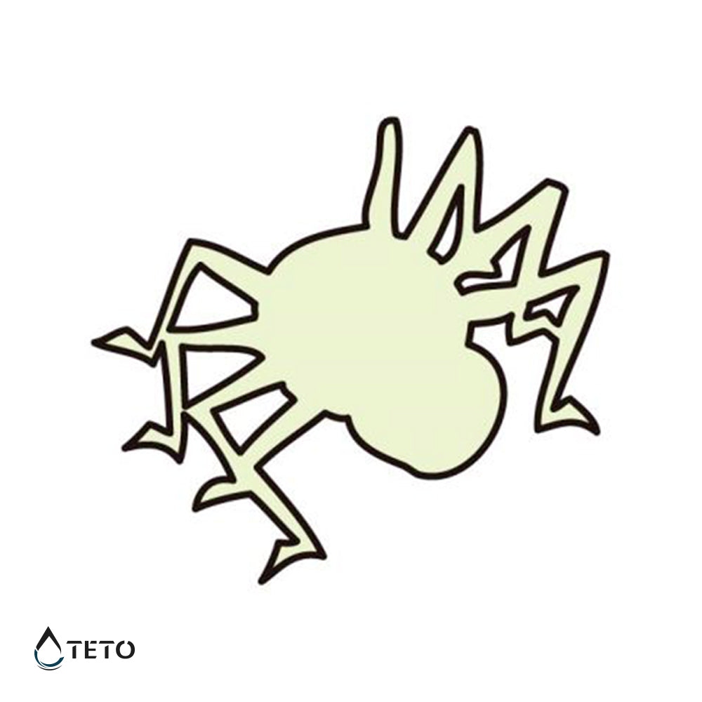 Araña - Brilla en la oscuridad - TETO - Tatuajes Temporales