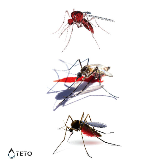 Mosquitos - 3D - set - Tatuajes Temporales TETO