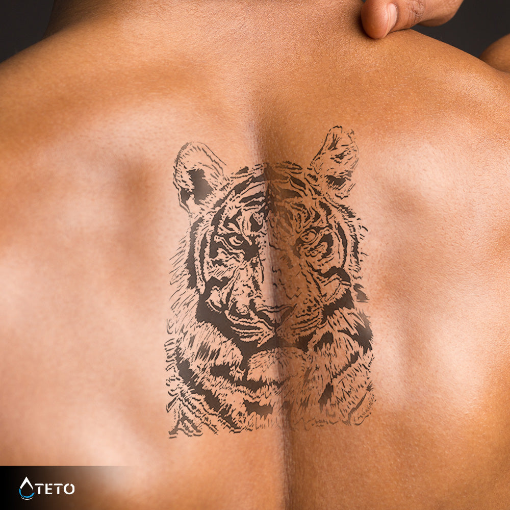 Tigre gris – Semipermanente - TETO - Tatuajes Temporales