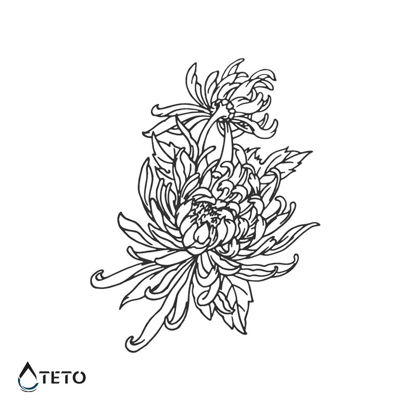 Crisantemo – Semipermanente - TETO - Tatuajes Temporales