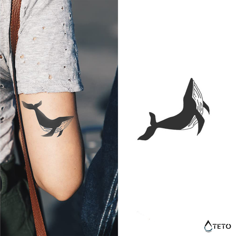 Ballena – Semipermanente