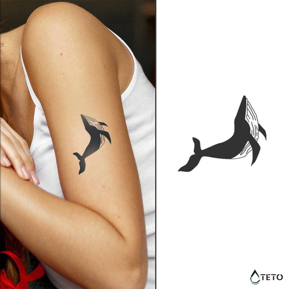 Ballena – Semipermanente